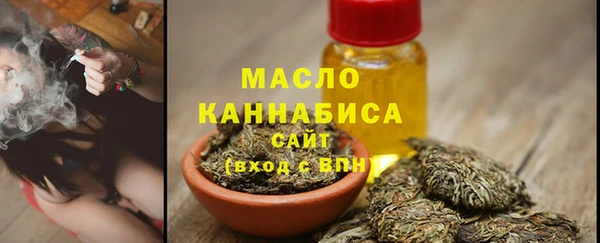 индика Инсар